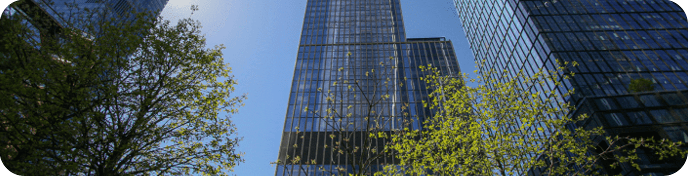 Comprehensive Building Carbon Reporting and Analytics with the Secure Platform